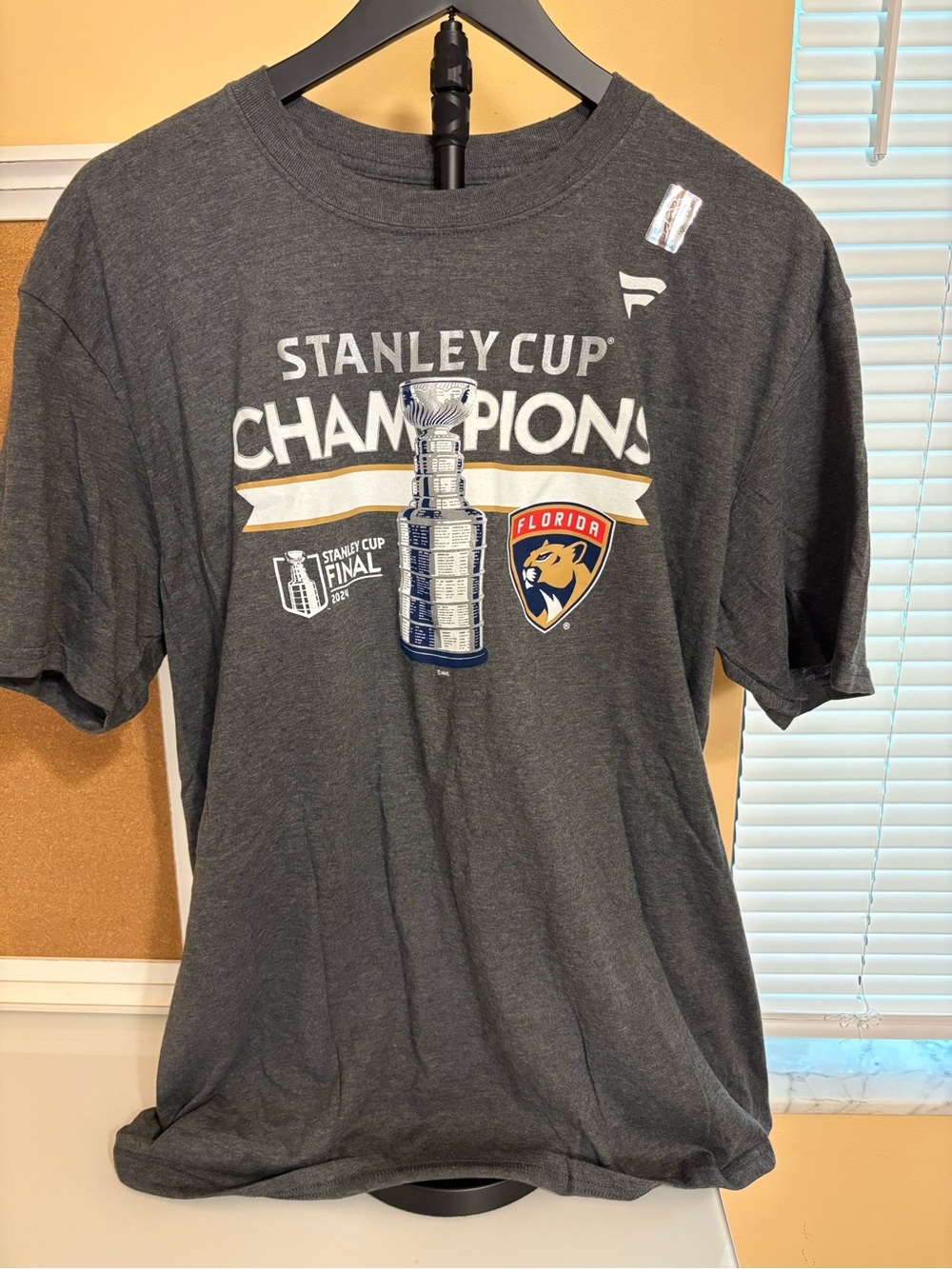 Fanatics Gray Florida Panthers Stanley Cup Champions Tee 2024
